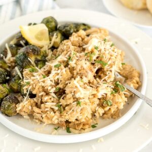 Parmesan Chicken and Rice- BEST SELLER